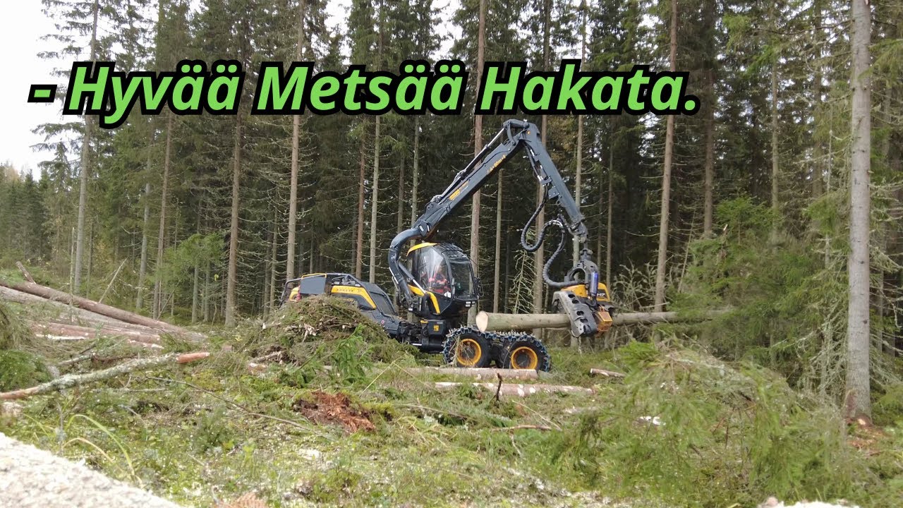 Ulkoapäin kuvattu Kuusikin Uudistushakkuuta. Pelkästään Koneen Ääni. Ponsse Scorpion K AC New H7 -25