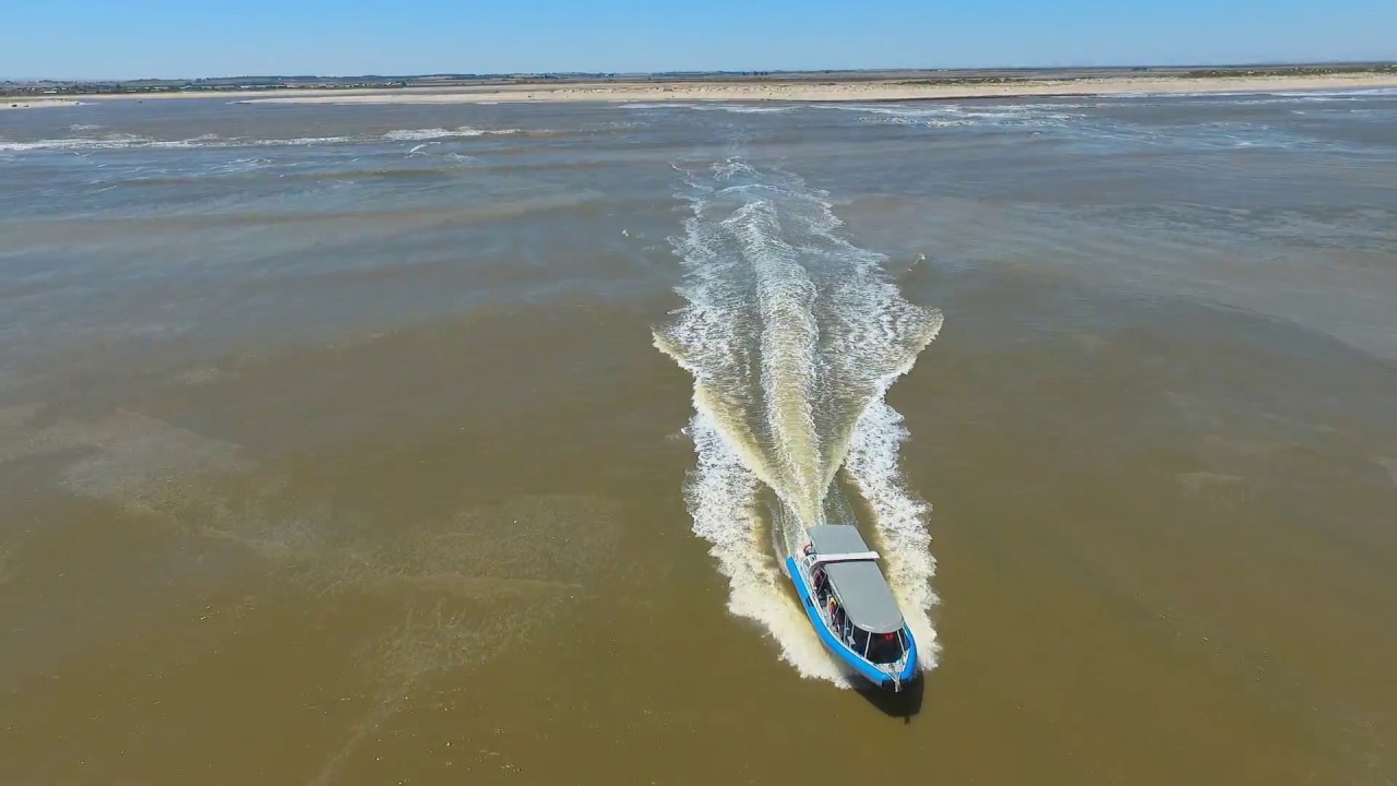 The Big Duck - Murray Mouth Crossing