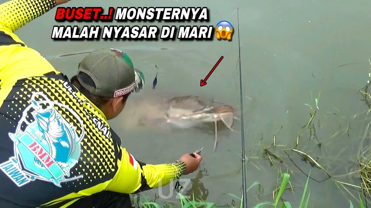 Mimpi apa semalam mancing dapat jackpot ikan sebesar ini