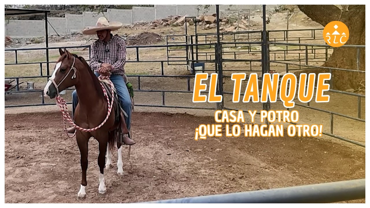 EL TANQUE Casa y Potro que lo hagan otro... Despedida