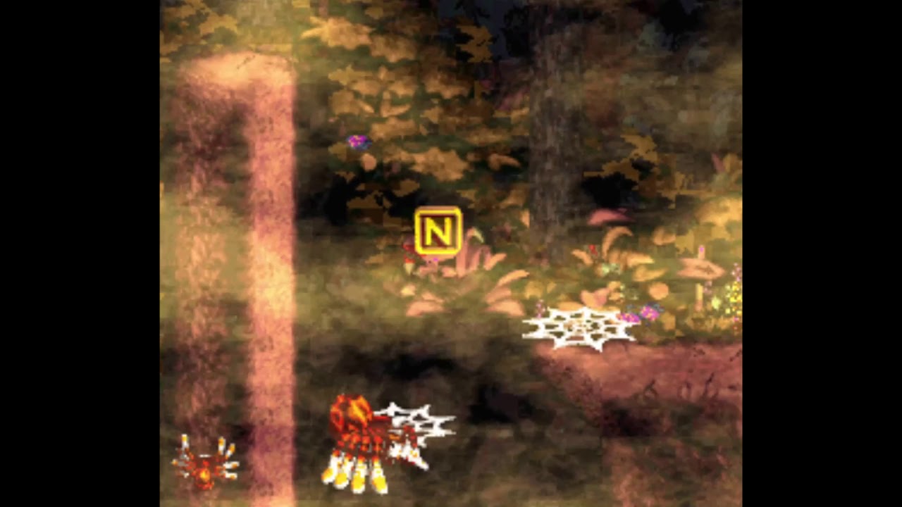 Donkey Kong Country 2: Diddy's Kong Quest- Web Woods  (Bonus Coins + DK Coin Walkthrough)