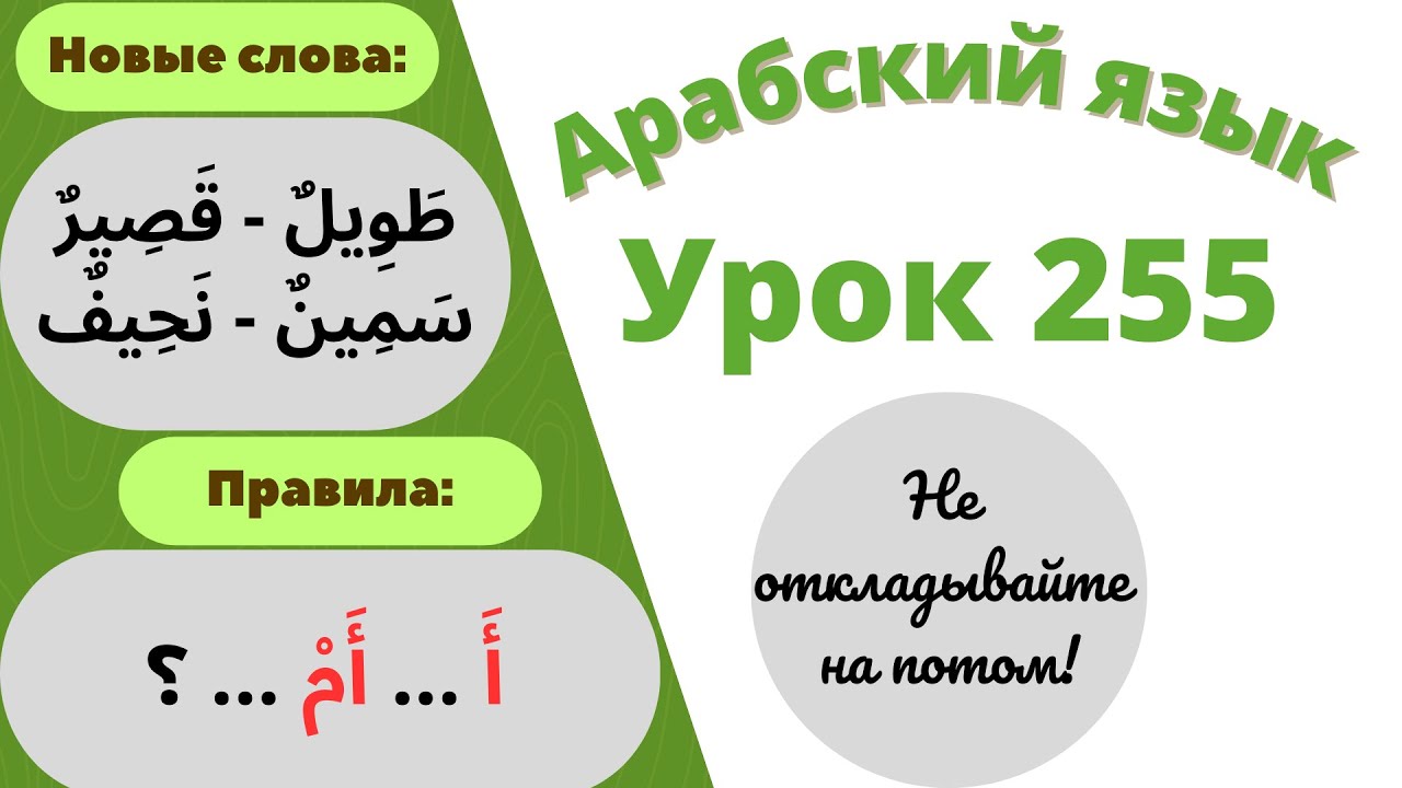 Начните сейчас! Арабский язык для начинающих. Урок 255