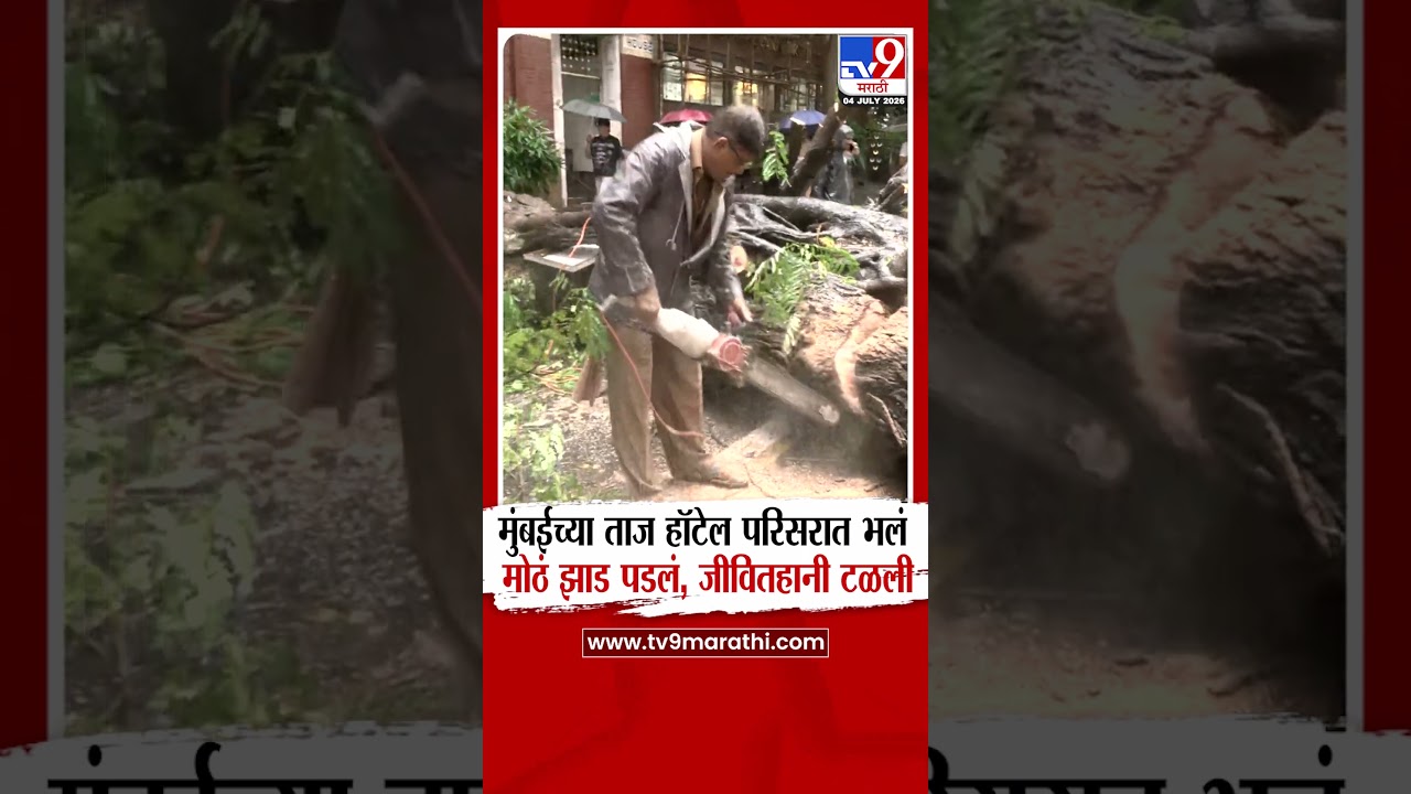 Mumbai Tree Collapse | मुंबईच्या ताज हॉटेल परिसरात भलं मोठं झाड पडलं, जीवितहानी टळली