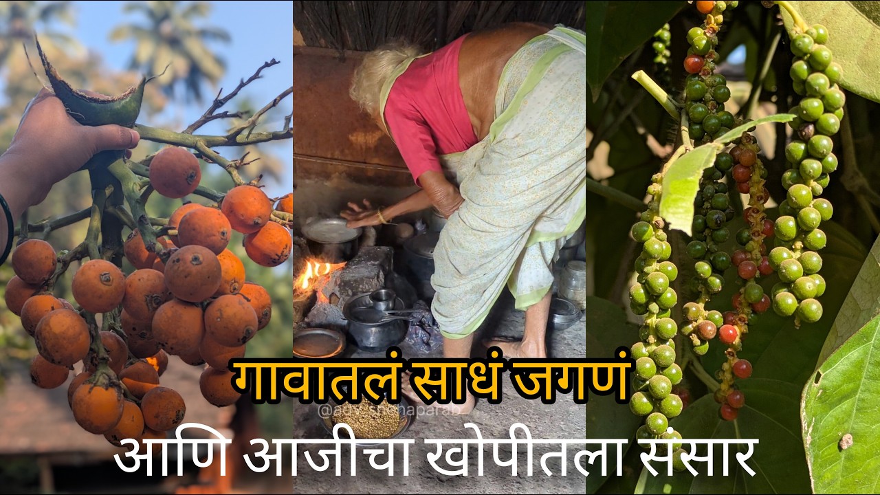 आजीचा खोपीतला संसार | काली मिरी उत्पादन | black pepper processing #Indianspices #kokan