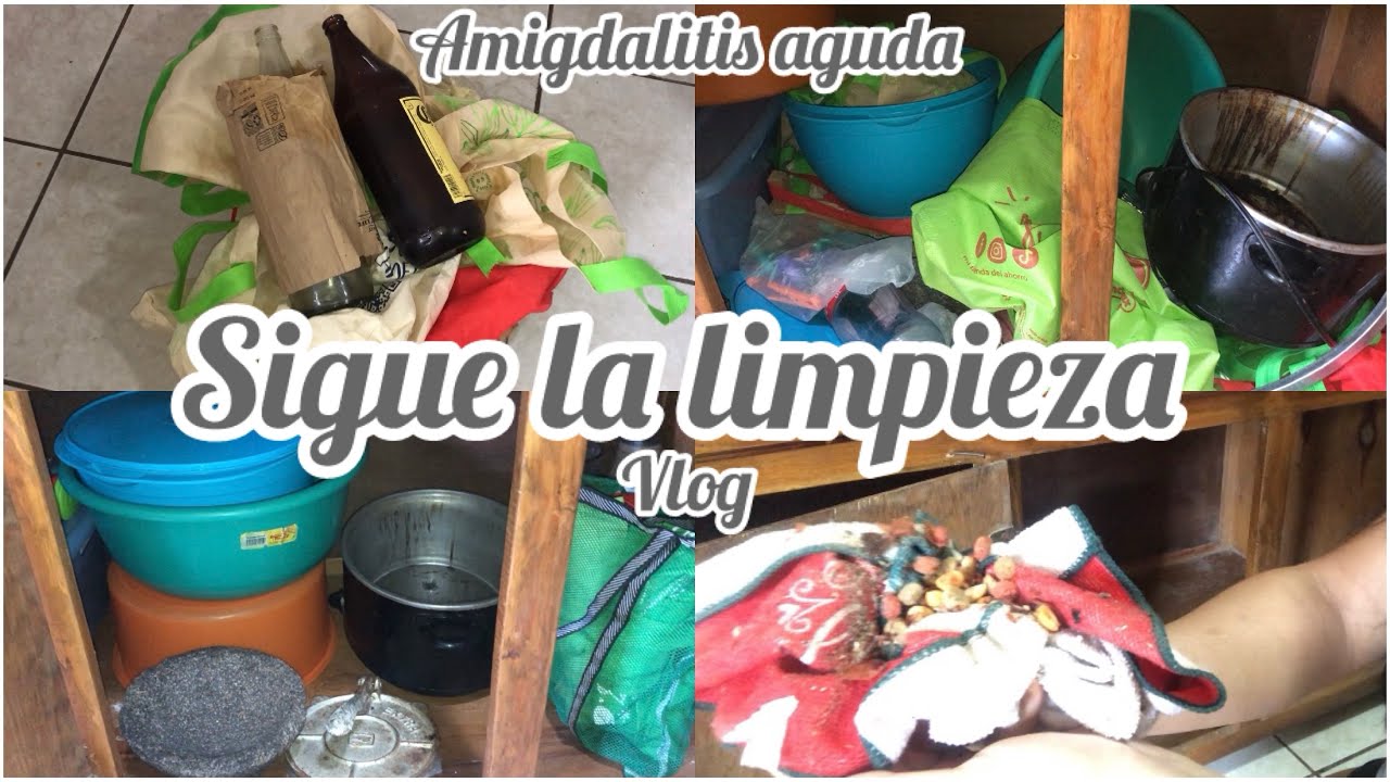 Limpieza extrema en la cocina 🫧🧽y enferma desde hace 3 días 🤧💊 vlog | Perla De León 