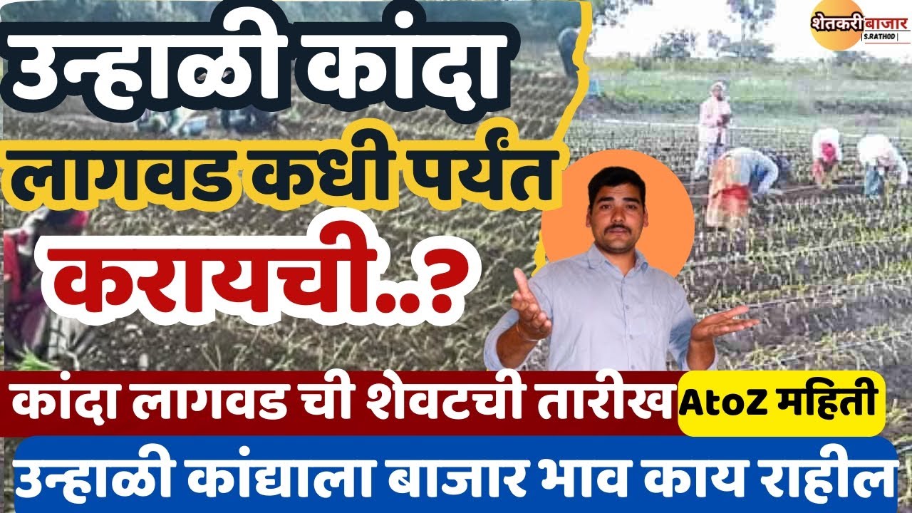 उन्हाळी कांदा कोणत्या महिन्यात लागवड, पेरणी करावी, उन्हाळी कांद्याचे बाजार भाव काय राहील,AtoZ माहिती