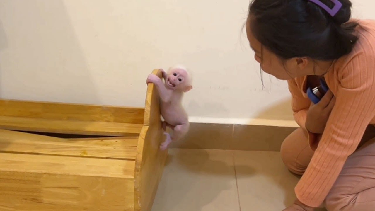 Tiny Pavpav Sad Tiny Climb Anqry When Mom Ask Him To Get Clothes