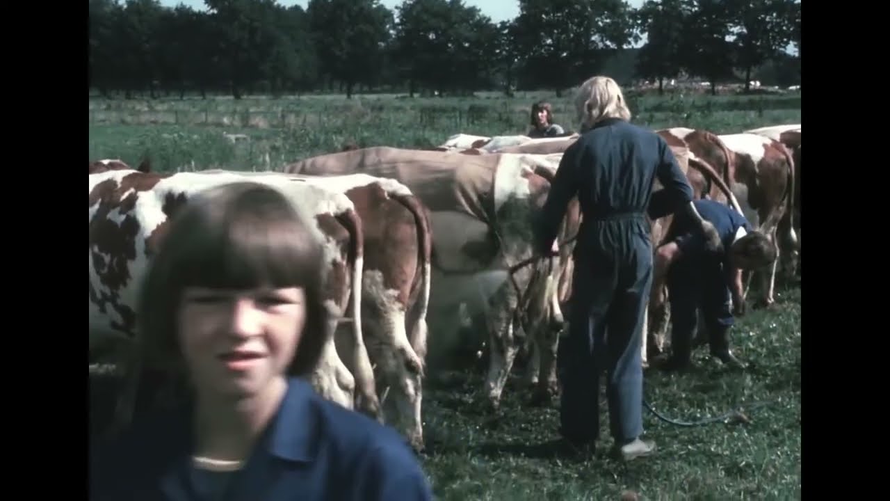 1975 Fokveedag in Haaren