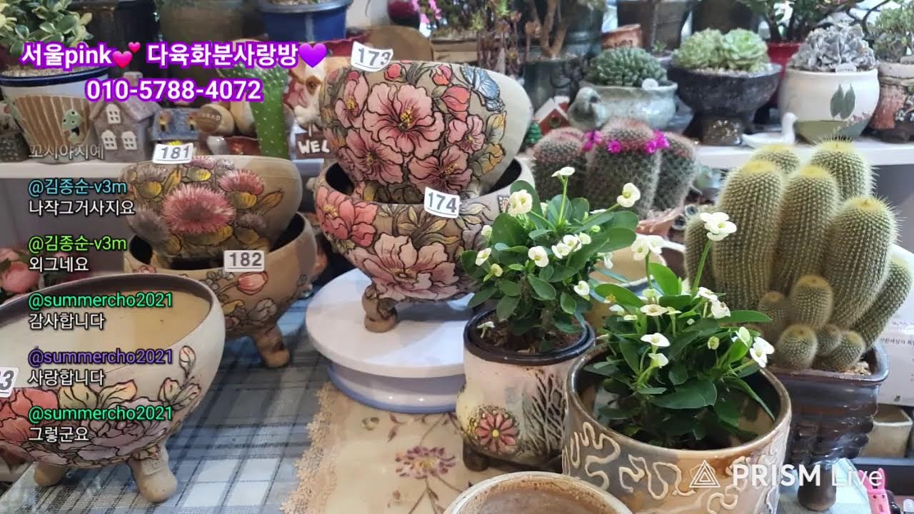 서울pink💕 다육화분 사랑이야기💕