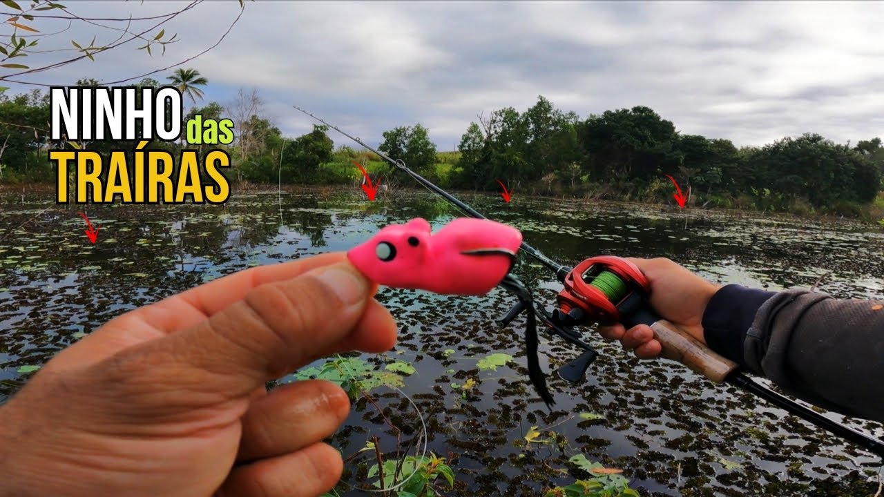 🚨Esse lugar está infestado de peixes!! PESCARIA de TRAÍRAS no RATINHU🔥