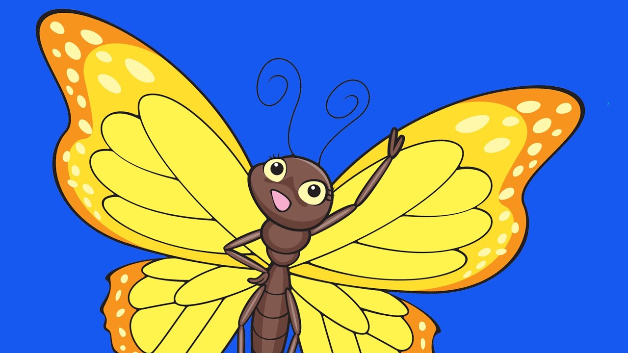 Learn Bugs Vocabulary | Talking Flashcards