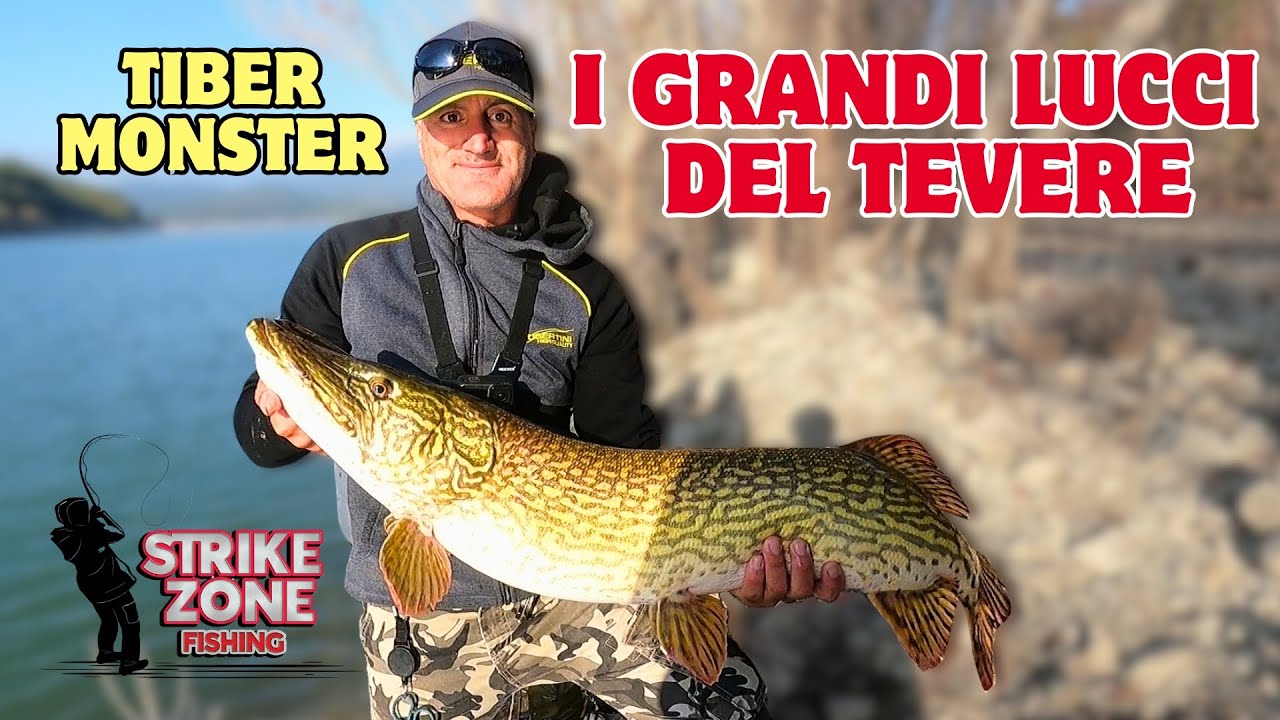 Pesca ai LUCCI GIGANTI del TEVERE - TIBER MONSTER