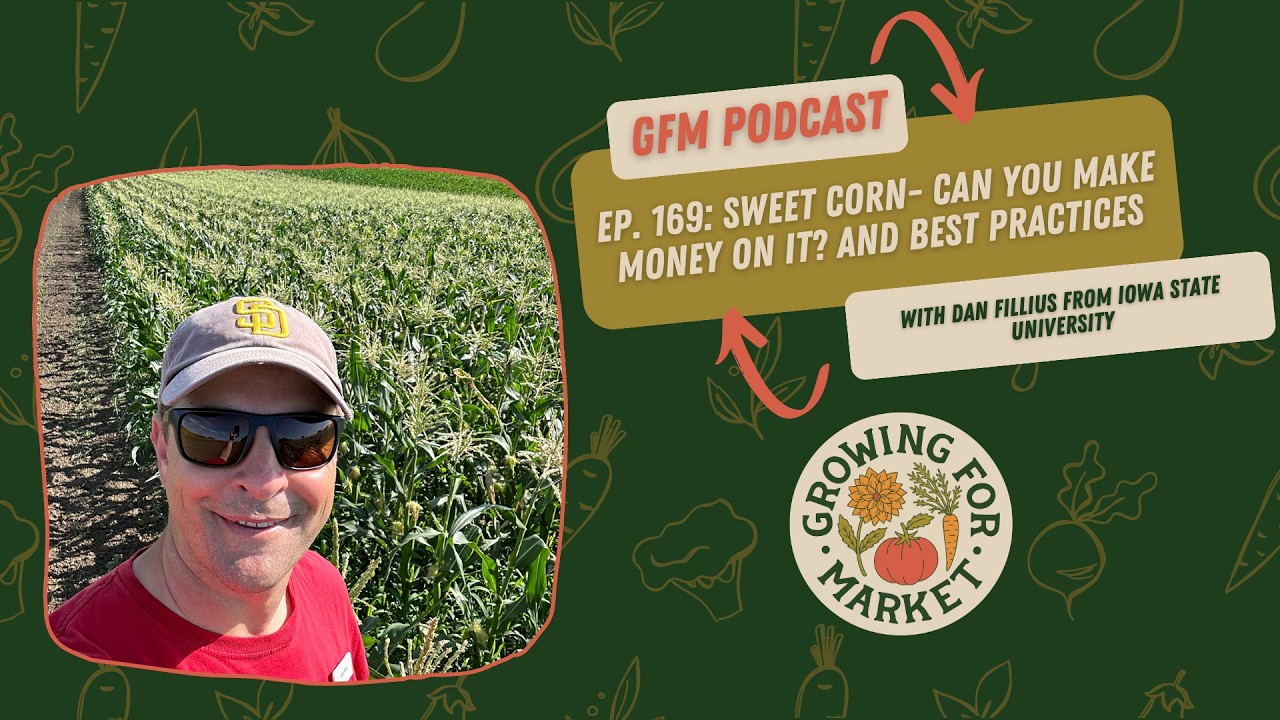 Sweet corn- can you make money on it? And best practices with Dan Fillius from Iowa State University