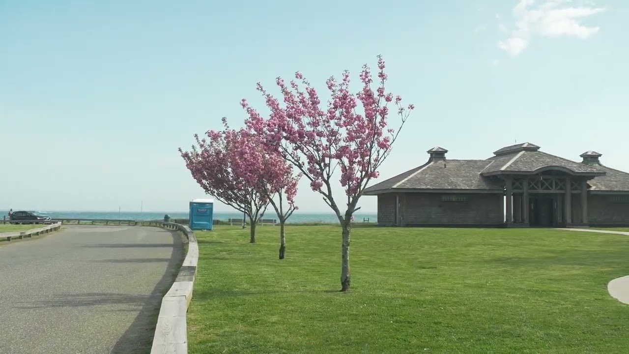 Sayville International Film Festival ┃ Introducing Sayville, New York