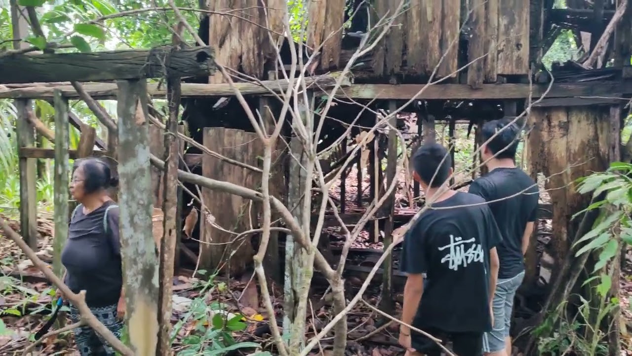 Balik kapit ambik buah di kebun lama