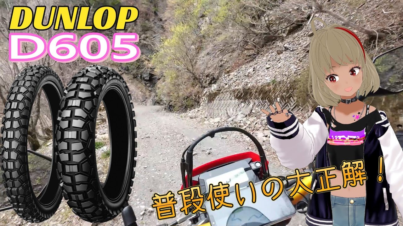 【CRF250L】普段使いならコレ！まさにデュアルパーパス‼ダンロップD605