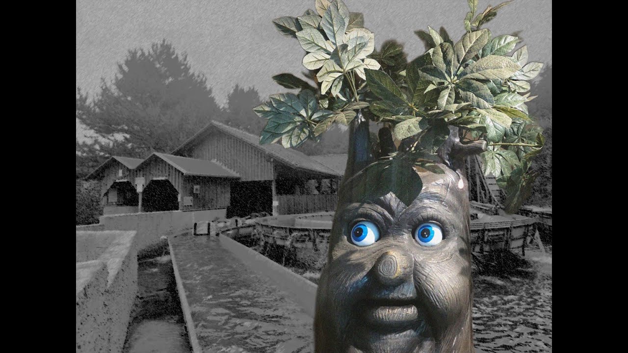 Der Sprechende Baum im Schwaben Park 2025