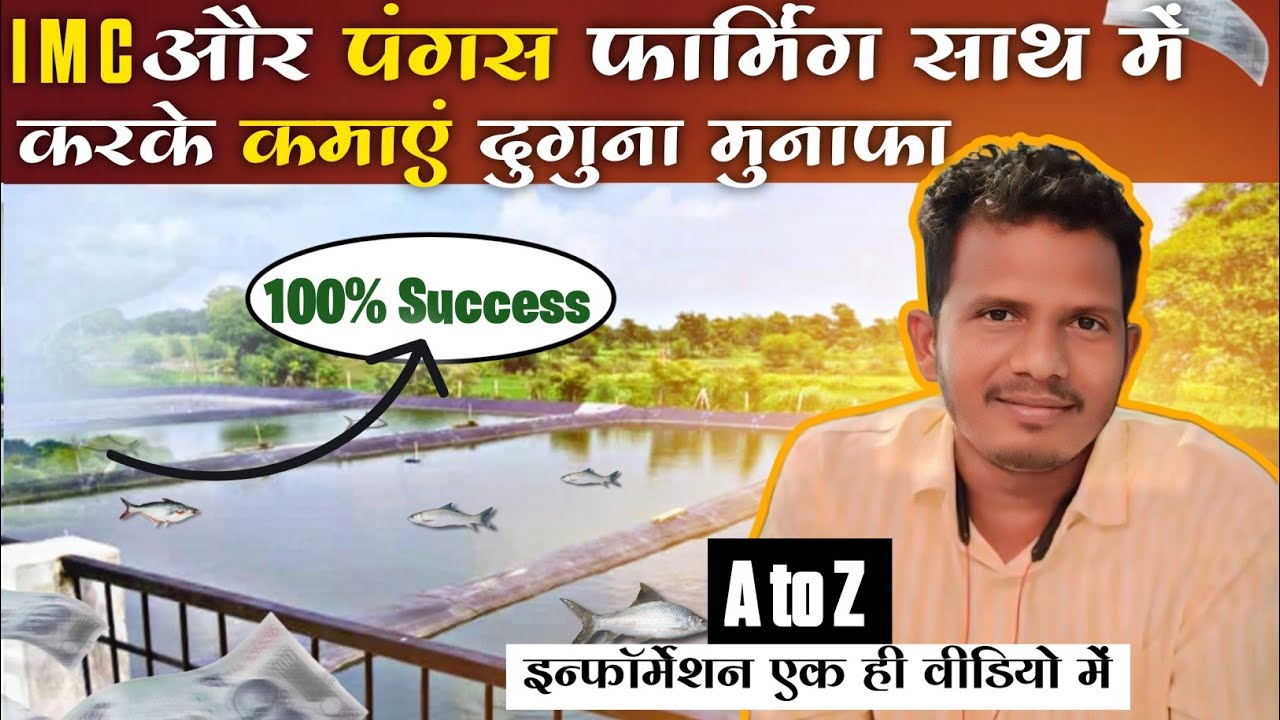 ऐसे  करे  IMC और Pangusius मछली को साथ में पालन और कमाए दुगना मुनाफा 😱😱🔥🔥|| Fish farming in India
