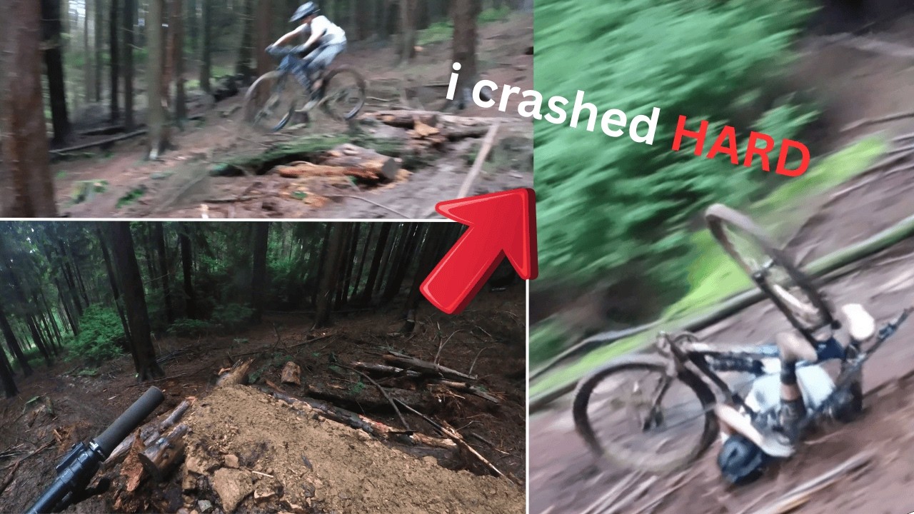 PURE CARNAGE AT THE REDLANDS - Surrey Hills