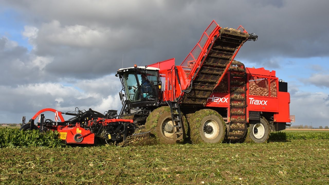 Agrifac Hexx Traxx - Loonbedrijf Van Hal - bieten rooien