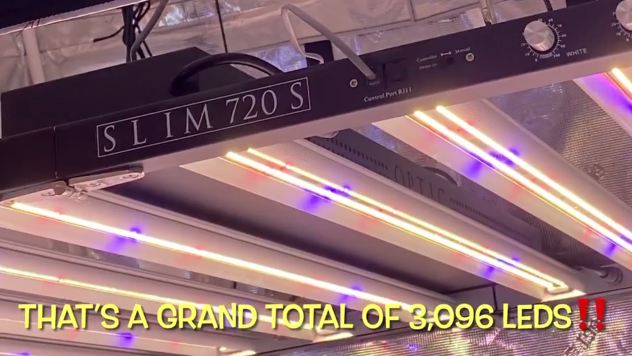Interesting Slim 720S Facts - Optic LED