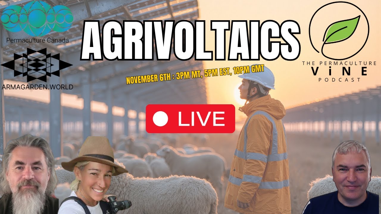 111 Agrivoltaics - Live With Permaculture Canada