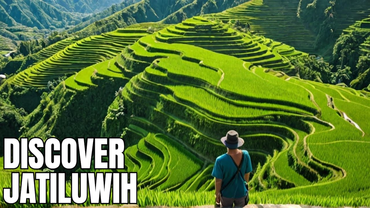 Jatiluwih Rice Terraces: Exploring Bali's Most Incredible Rice Terraces #jatiluwih