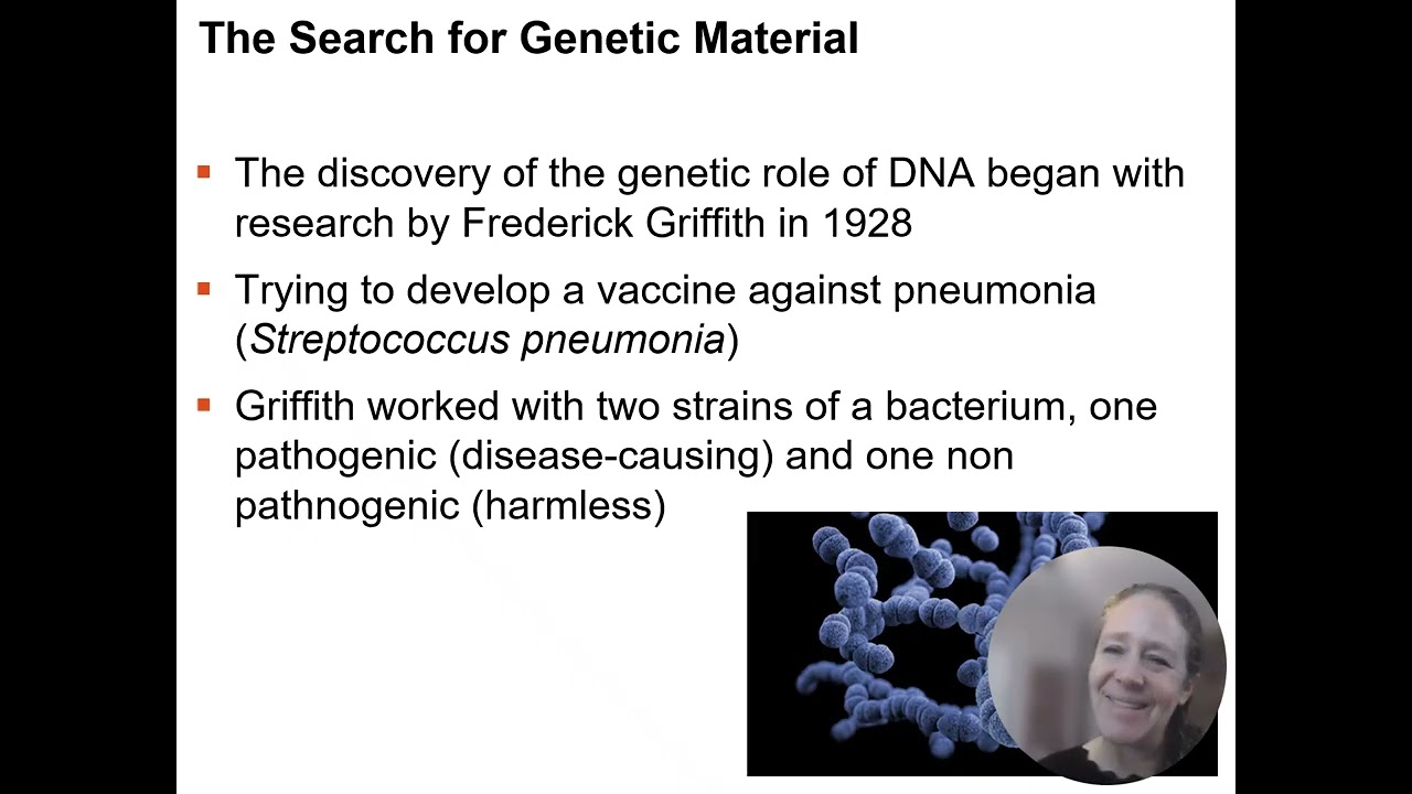 Section 4   Molecular Basis of Inheritance Recording