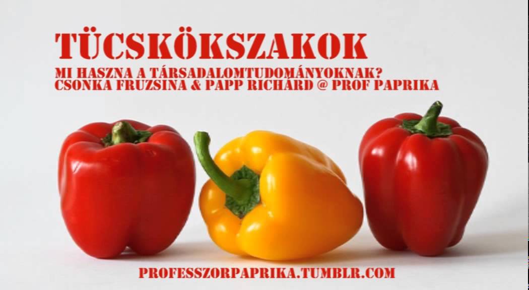 Tücsökszakok: mi a haszna a társadalomtudományoknak?