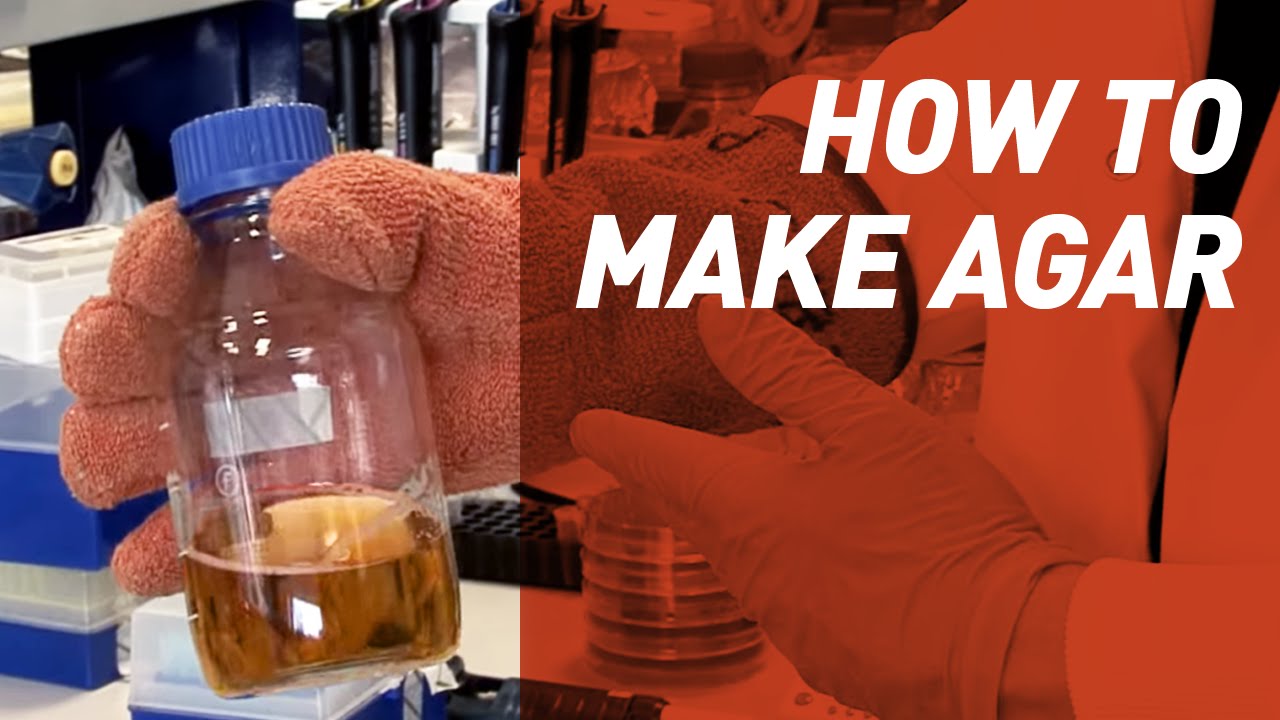 How to make Agar - Singer Instruments
