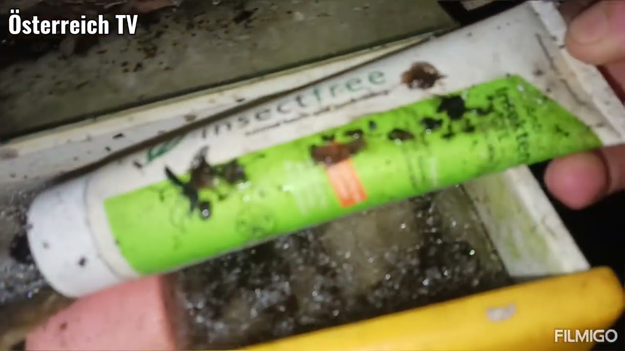 Ich erkunde die restlichen 3 verlassenen Gartenhäuschen 