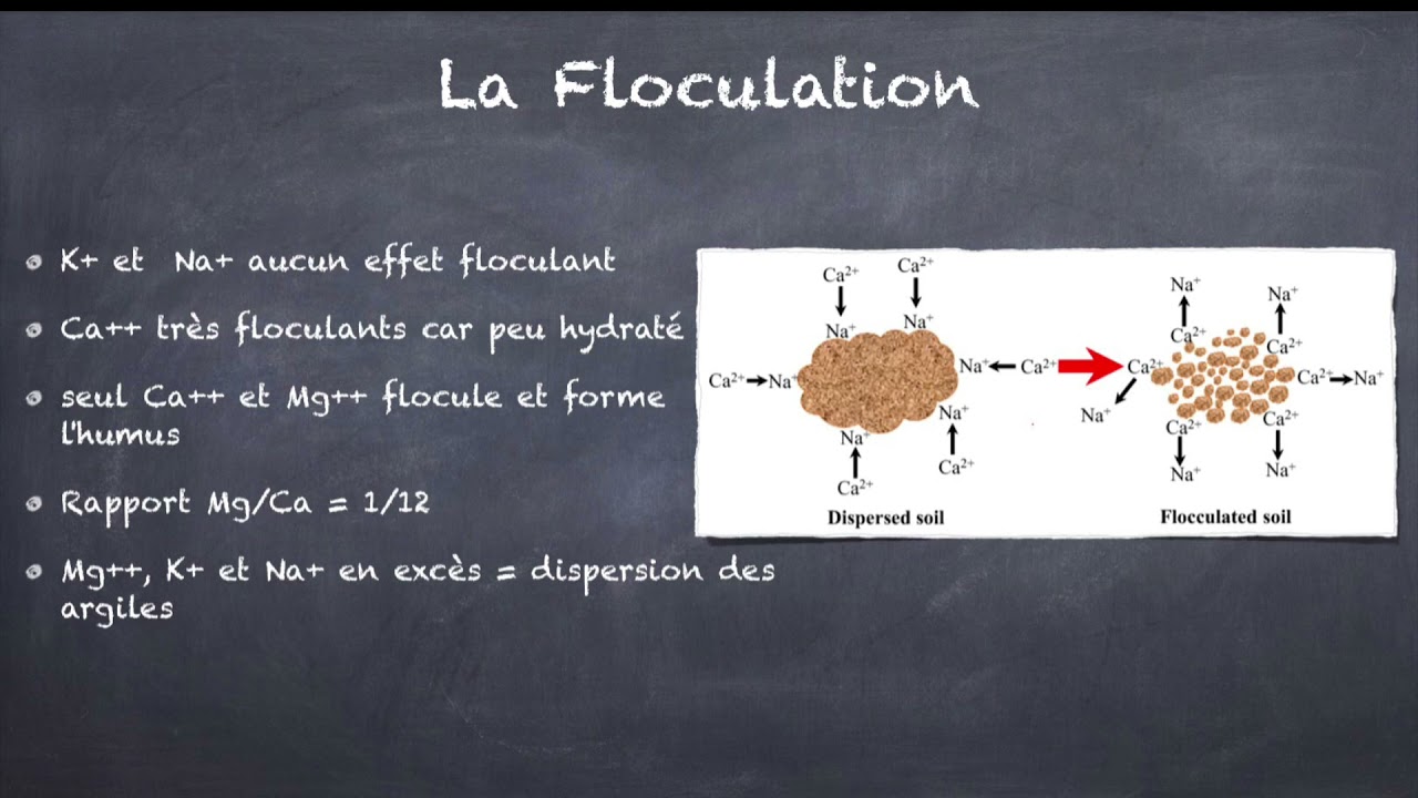 vidéo d'explication sur le carbonate du sol