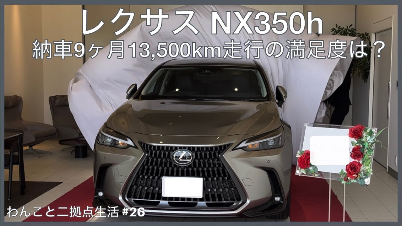 【レクサスNX 350h】納車9ヶ月13,500km走行してわかったスゴイところ、イマイチなところ