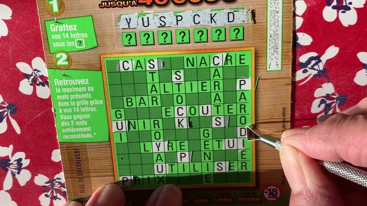 Cinq BlackJack et un petit Mots Croisés 🍀🍀🍀 et découverte de flocons ❄️ par petit Lucky