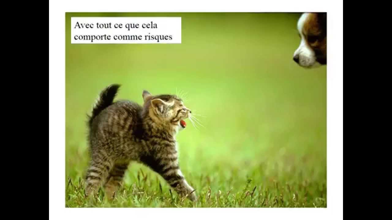 Voeux pour la nouvelle année