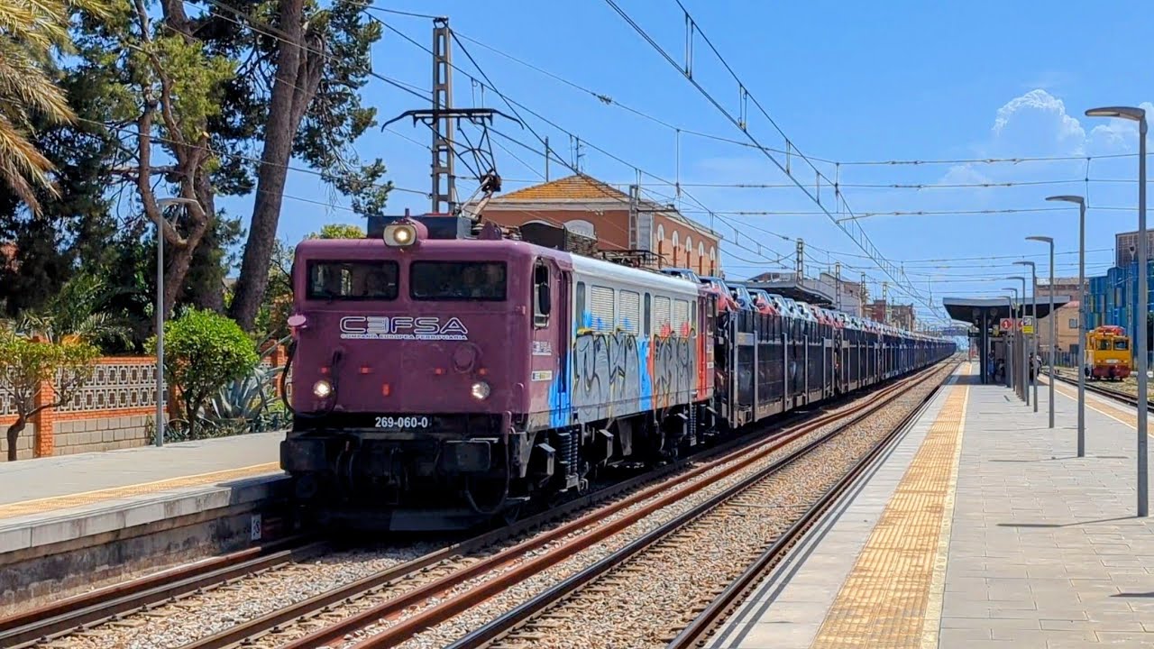 Trenes Variados en Valencia | Renfe Alvia, Talgo, 333, 256, Euromed...