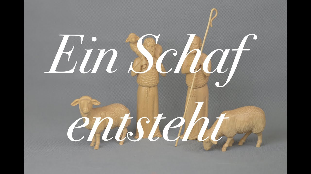 Ein Schaf gestalten