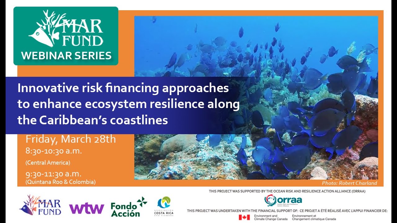 Innovative risk financing approaches to enhance ecosystem resilience in the Caribbean coasts