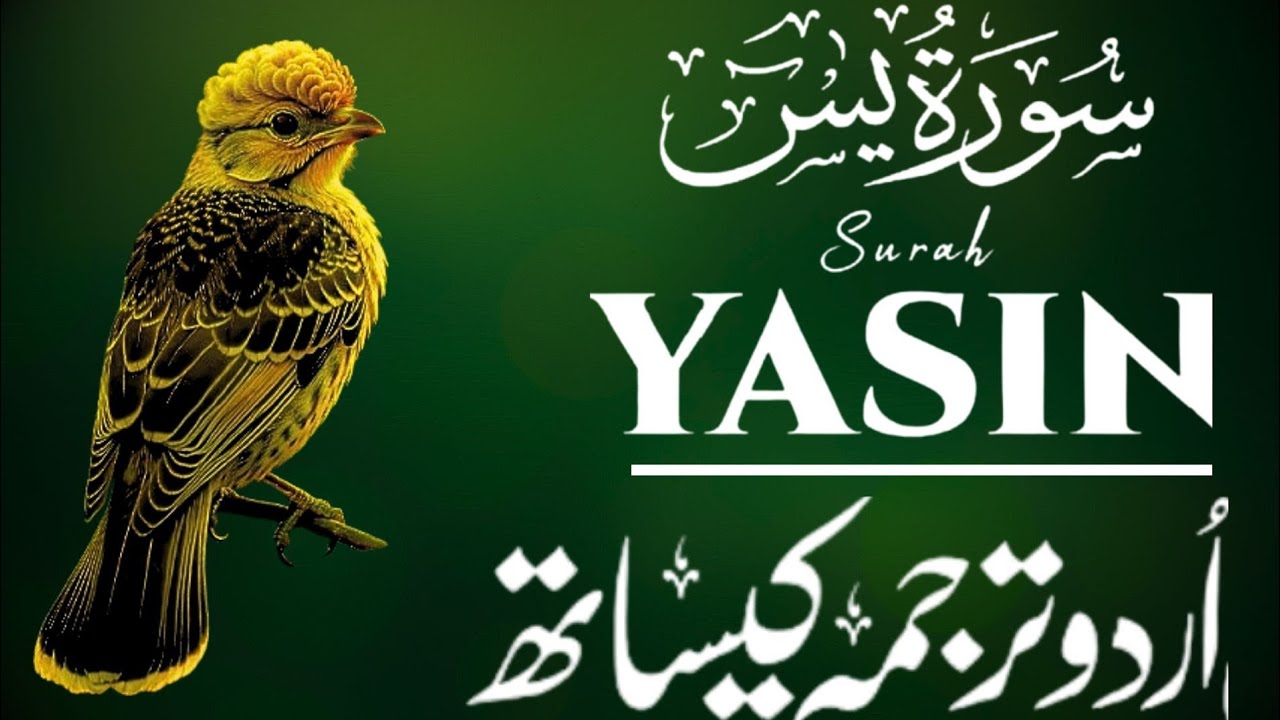 Surah Yaseen(سورۃ یاسین)with Urdu Translation |Heart of the Quran | Episode 74 | Zikr e Quran Recite