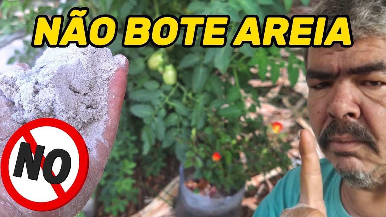 Nunca mais bote AREIA no VASO de suas plantas