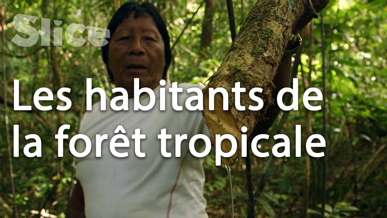 Les gardiens de la forêt en Guyane française | SLICE