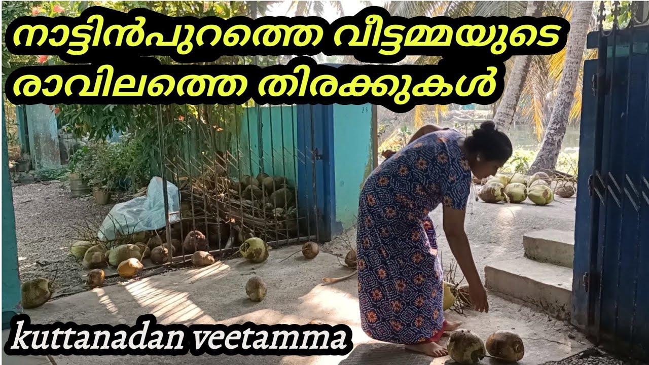 രാവിലത്തെ ഓട്ട പാച്ചിൽ|villagelifestyle|@kuttanadanbeautyruchi4111 
