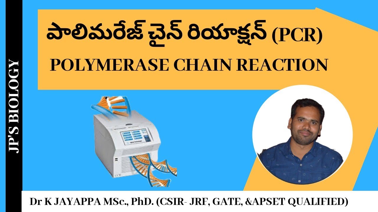 Basics of PCR