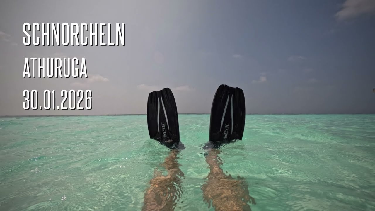 Schnorcheln Athuruga 30.01.2026