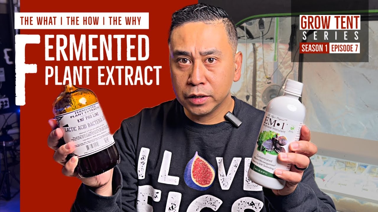 The WHAT | The HOW | The WHY // Fermented Plant Extract (FPE) // GROW TENT Series (s1e7) 