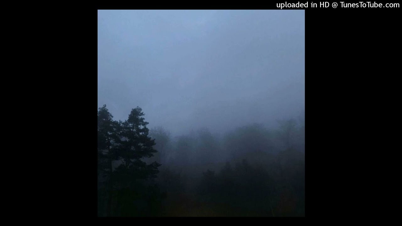 prettifun x misogi x ginseng type beat - photosynthesis