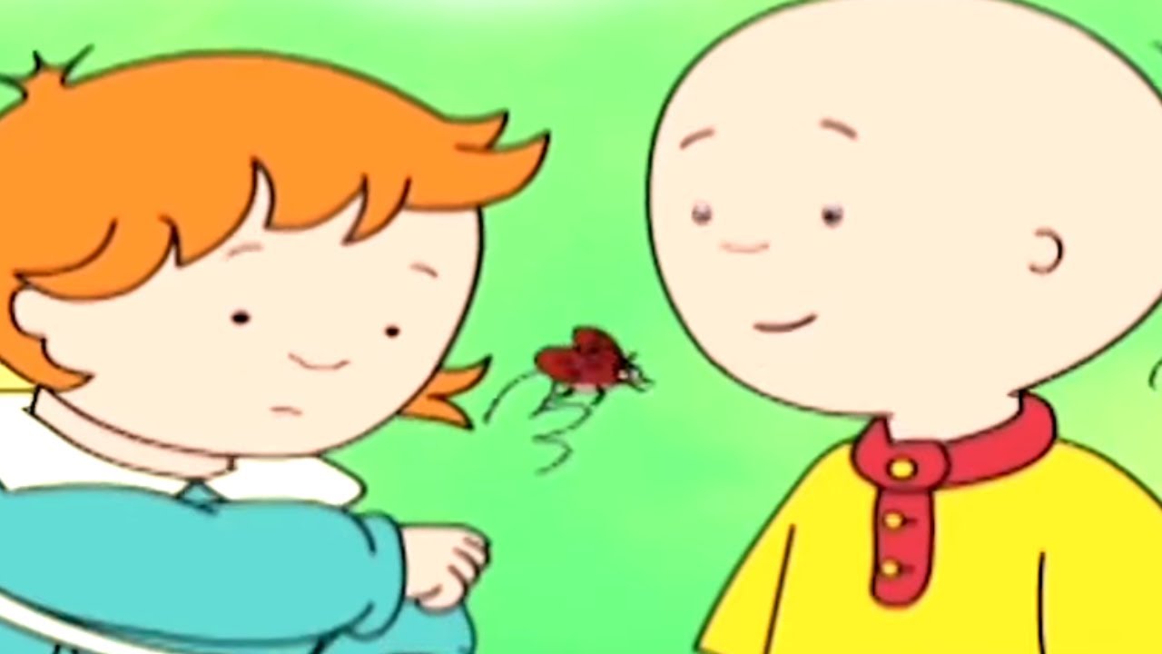 Caillou y la Mariquita | Caillou en Español - WildBrain