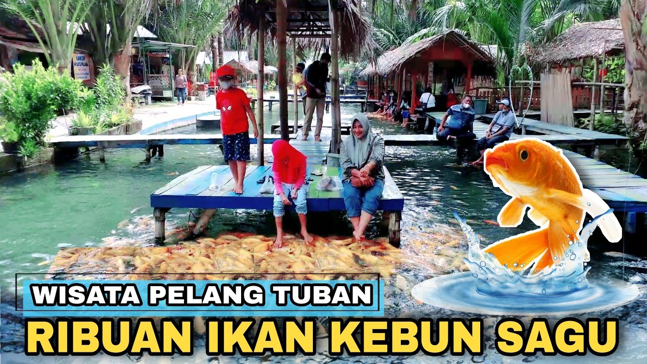 WISATA PELANG TUBAN TERBARU, KEINDAHAN ALAM DI KEBUN SAGU - Cak Hanto