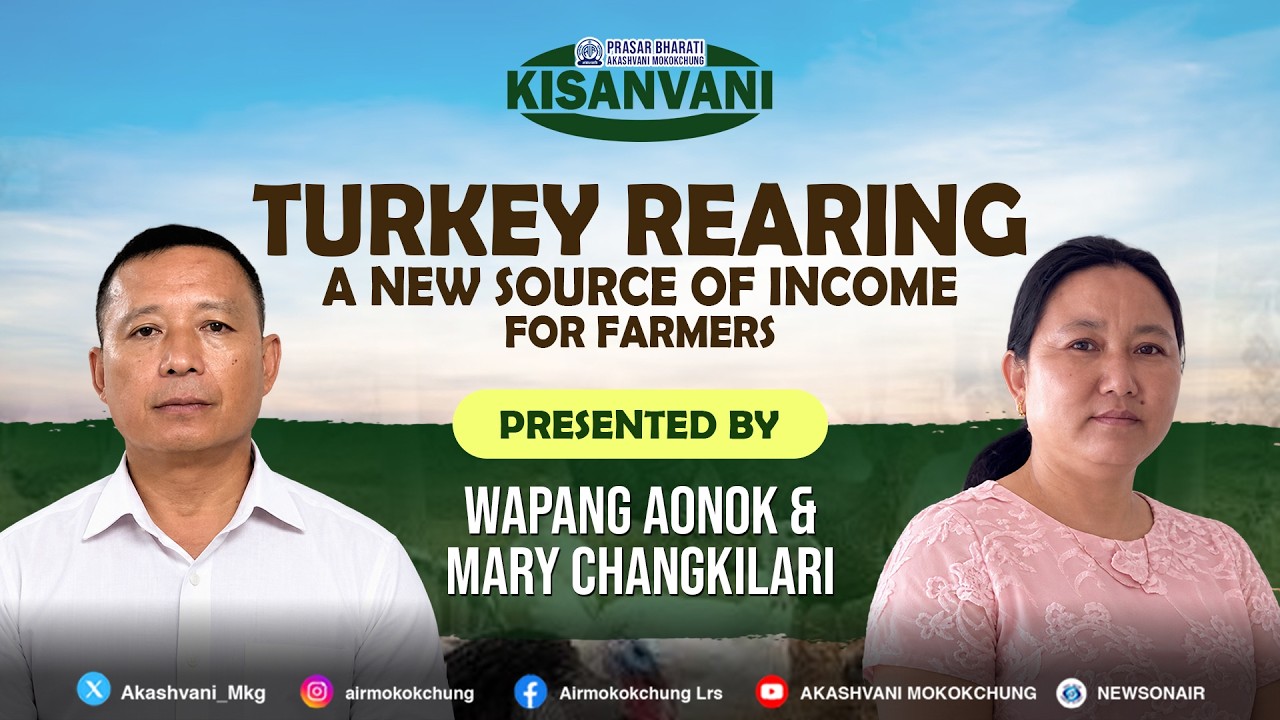 Turkey Rearing &ndash; A New Source of Income for Farmers | Kisan Vani