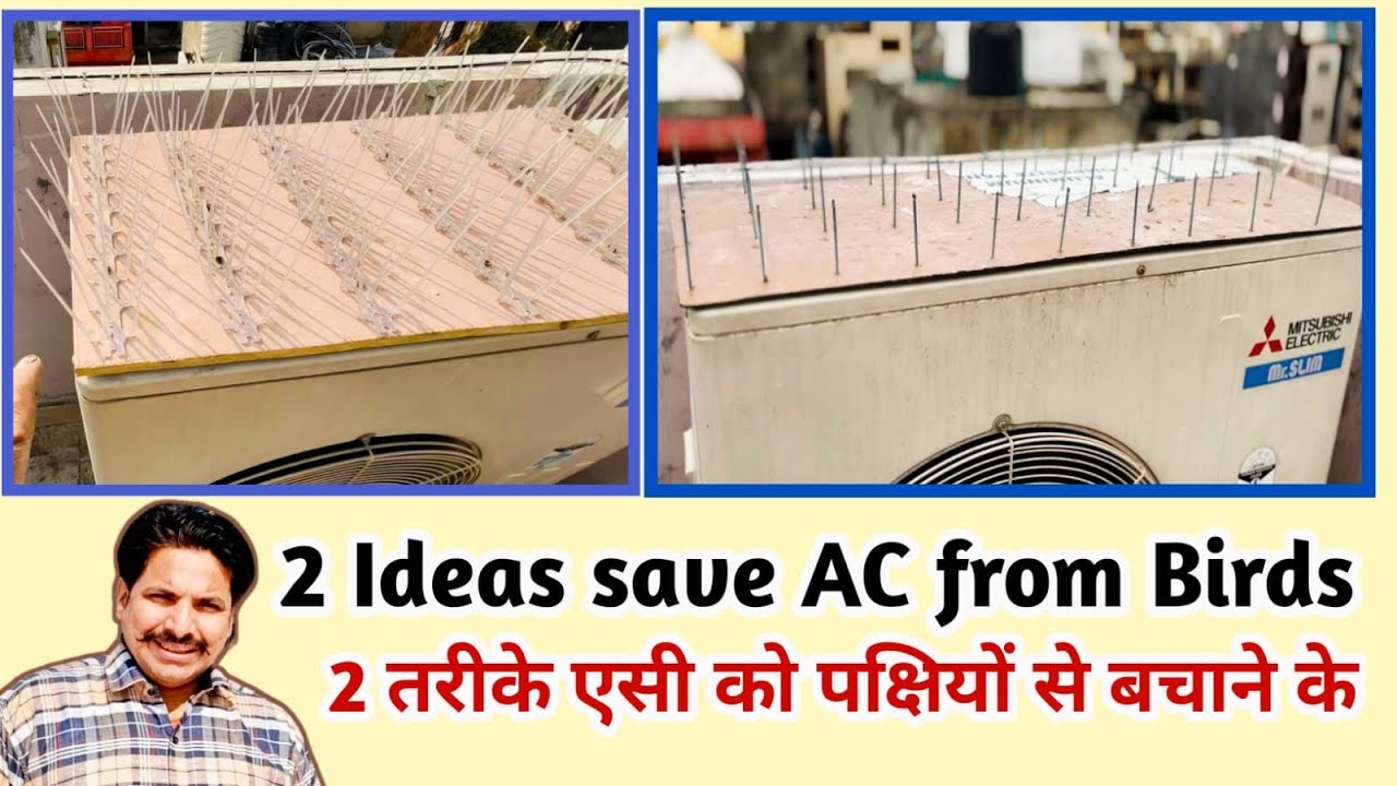पक्षियों और बंदरों से एसी को बचाने के तरीके/ A C protector from birds/ ideas of save A C from birds